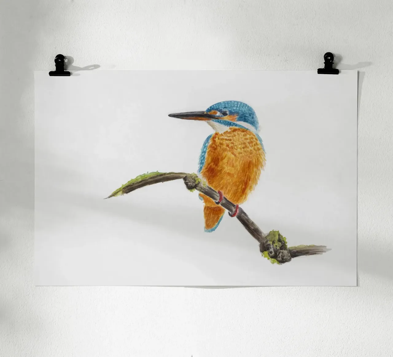 Eisvogel poster da Barbara Buderath Illustrationen