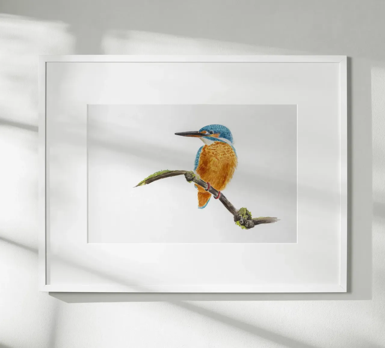 Eisvogel poster da Barbara Buderath Illustrationen