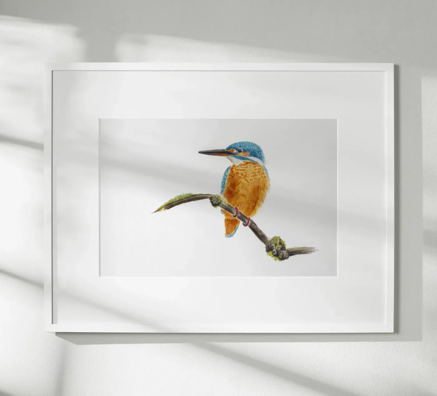 Eisvogel poster van Barbara Buderath Illustrationen