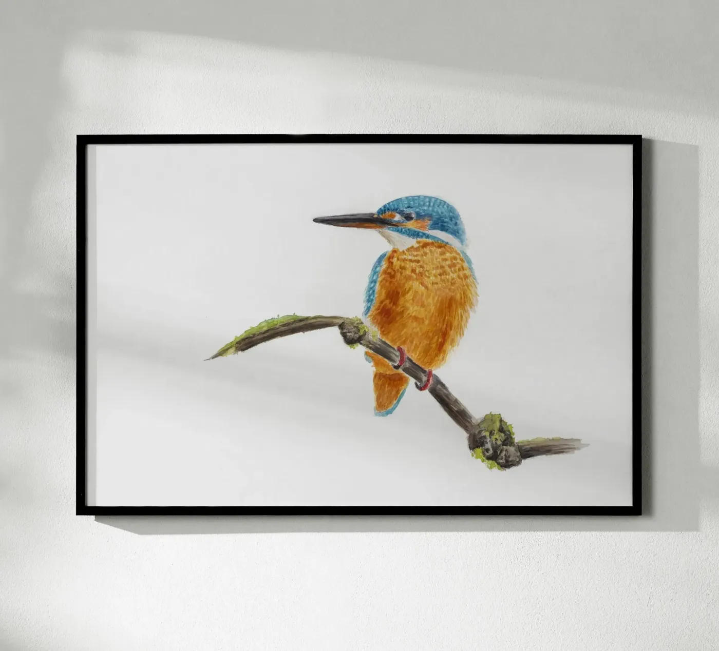 Eisvogel poster van Barbara Buderath Illustrationen