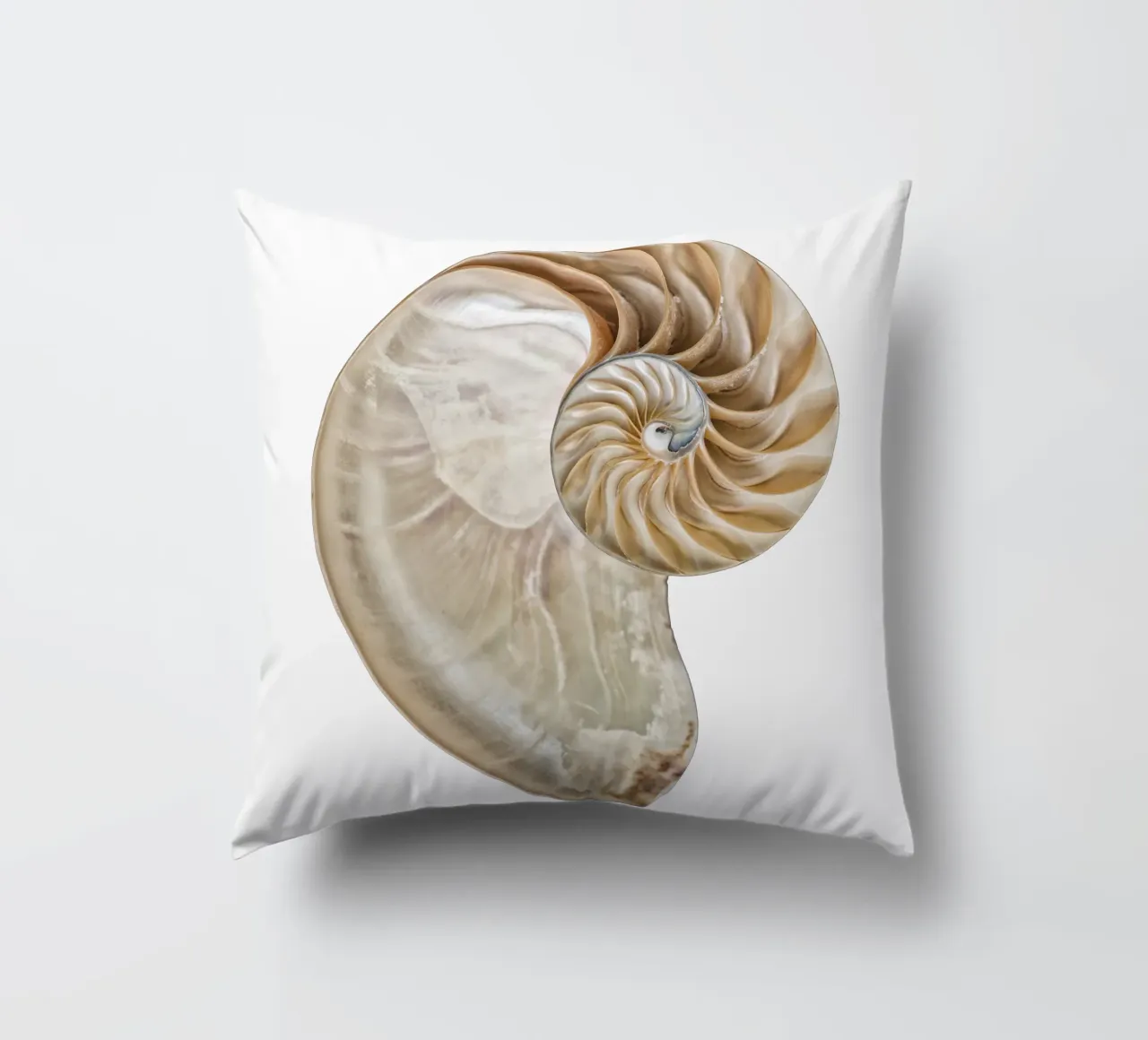 Natural Perfection: Cross-Section Nautilus Shell decorative cushion by Curious Collections by Marielle Leenders
