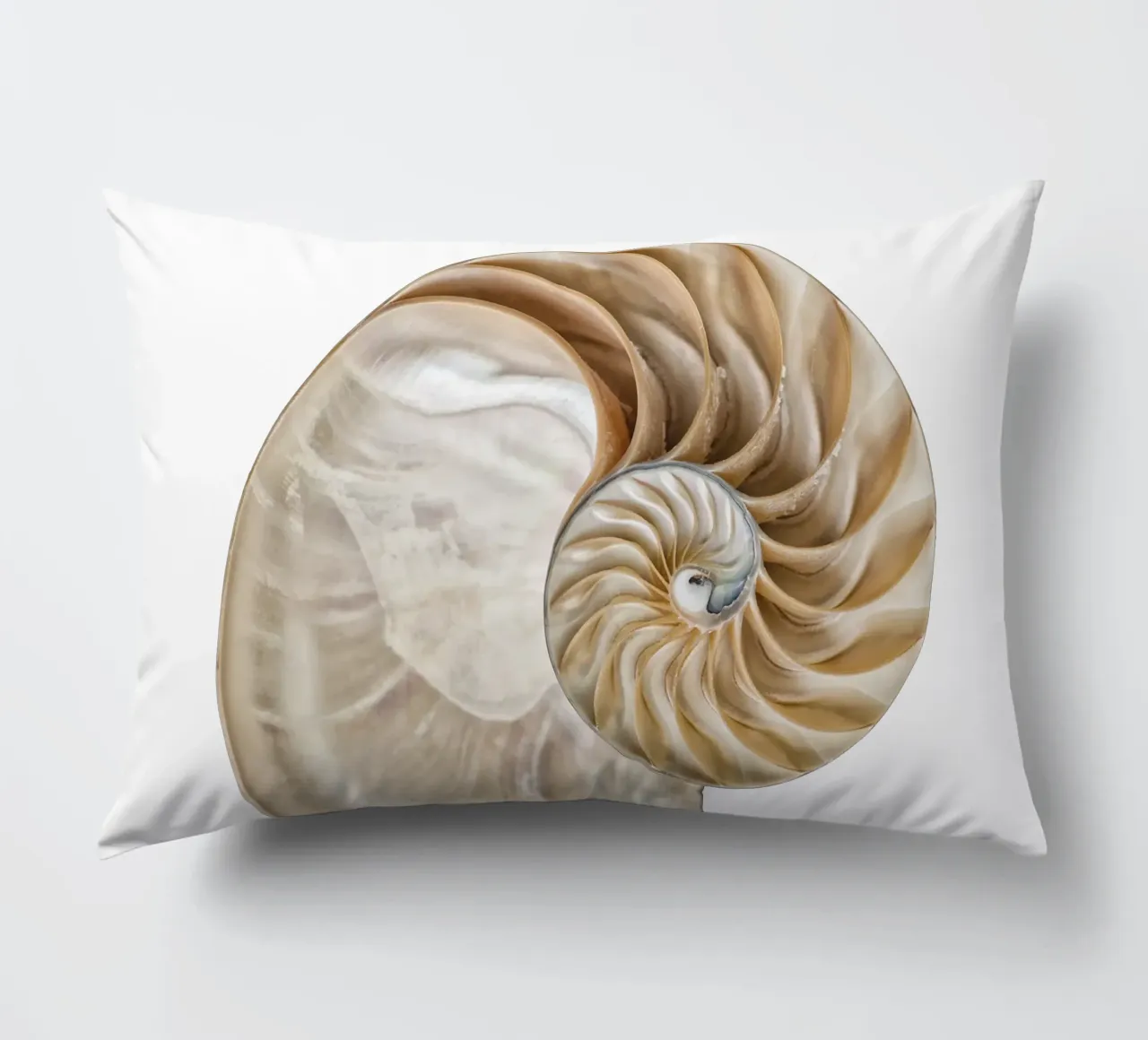 Natural Perfection: Cross-Section Nautilus Shell decorative cushion by Curious Collections by Marielle Leenders