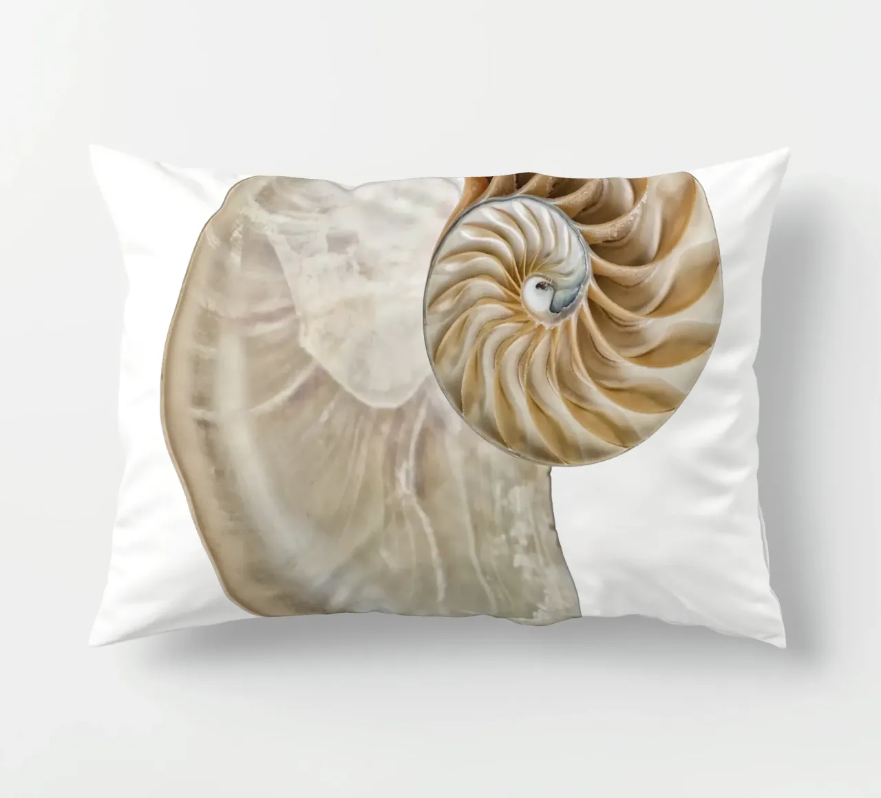 Natural Perfection: Cross-Section Nautilus Shell decorative cushion by Curious Collections by Marielle Leenders