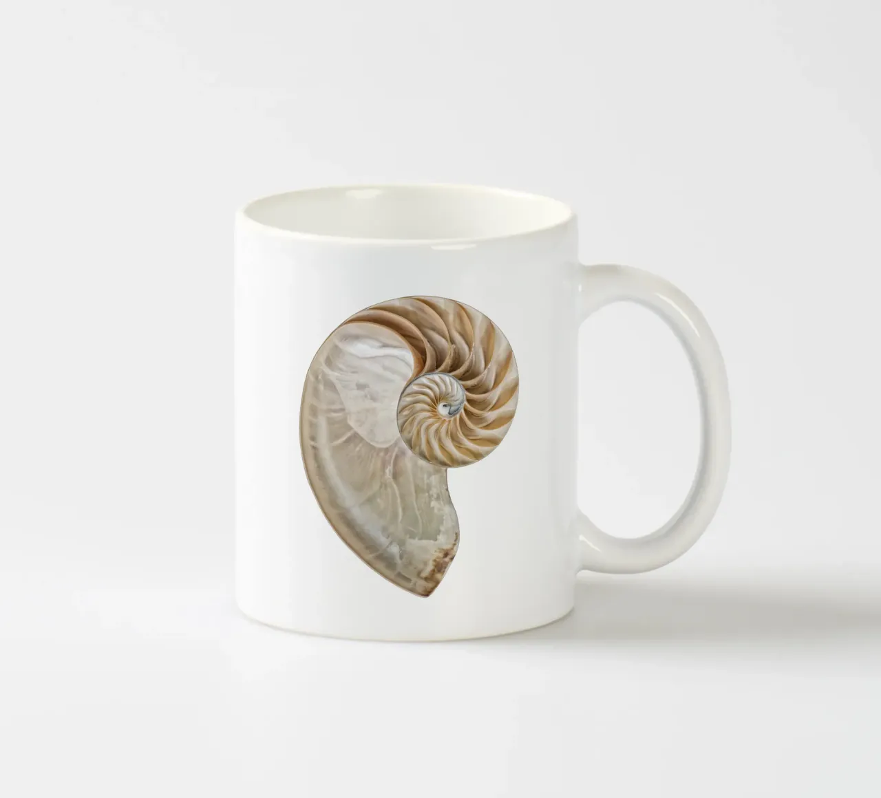 Natural Perfection: Cross-Section Nautilus Shell ceramic mug by Curious Collections by Marielle Leenders