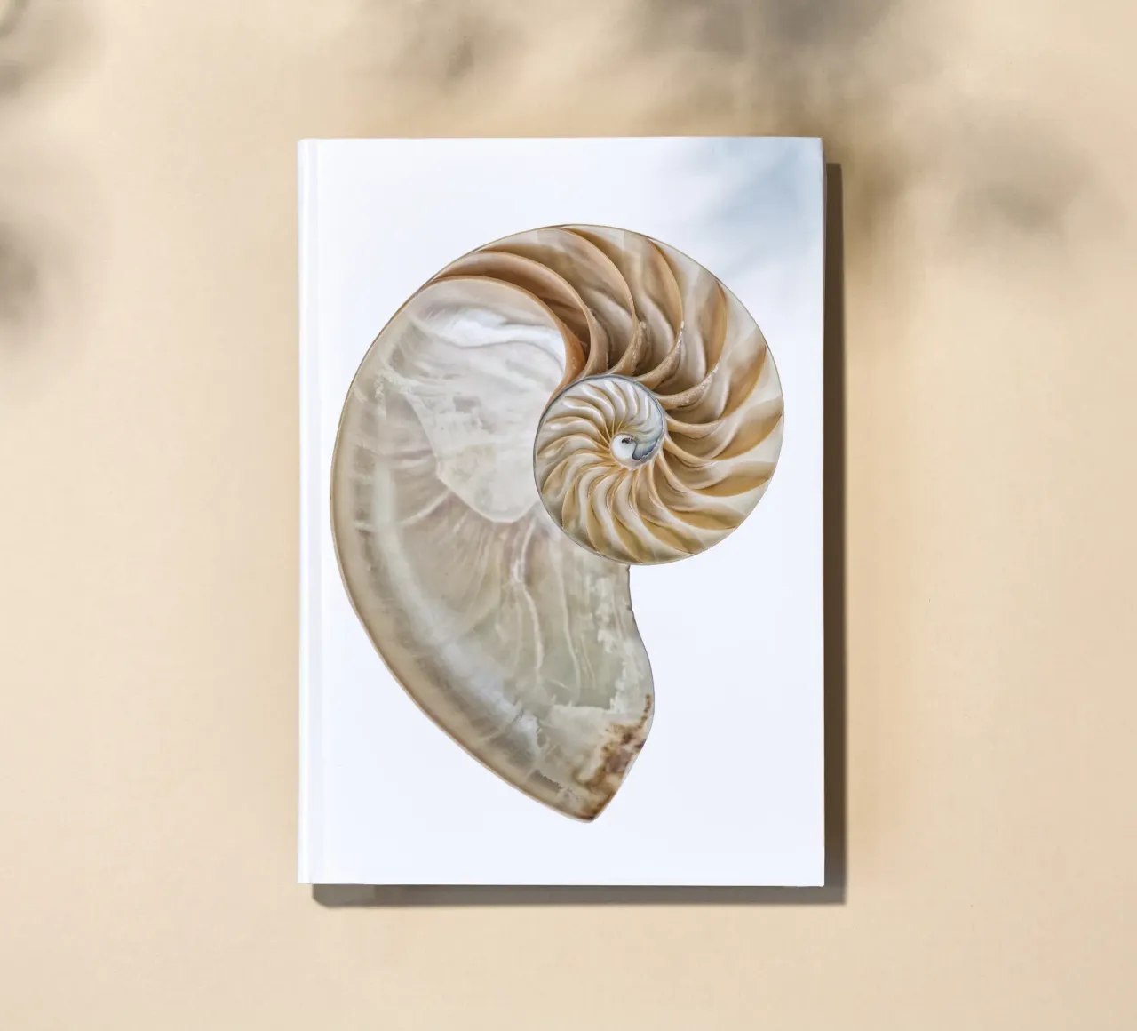 Natural Perfection: Cross-Section Nautilus Shell notebook by Curious Collections by Marielle Leenders