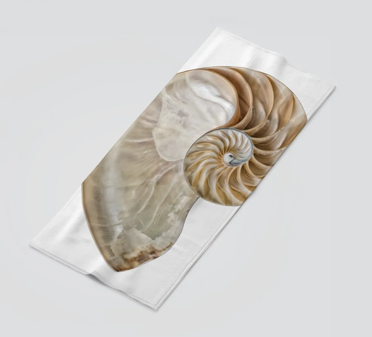Natural Perfection: Cross-Section Nautilus Shell beach towel by Curious Collections by Marielle Leenders