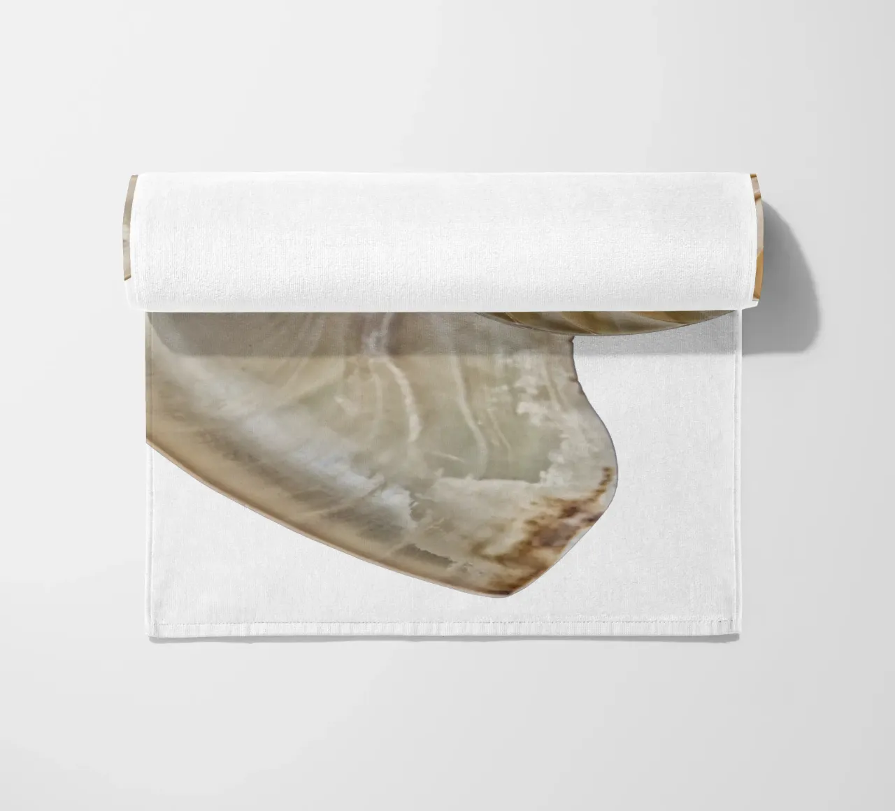 Natural Perfection: Cross-Section Nautilus Shell beach towel by Curious Collections by Marielle Leenders