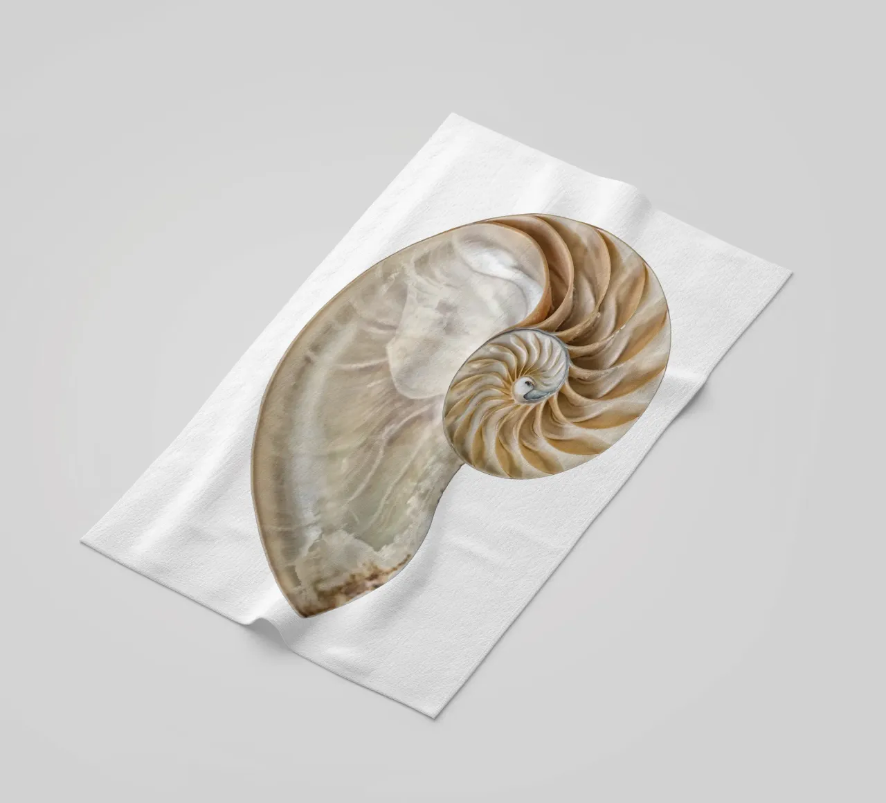 Natural Perfection: Cross-Section Nautilus Shell beach towel by Curious Collections by Marielle Leenders