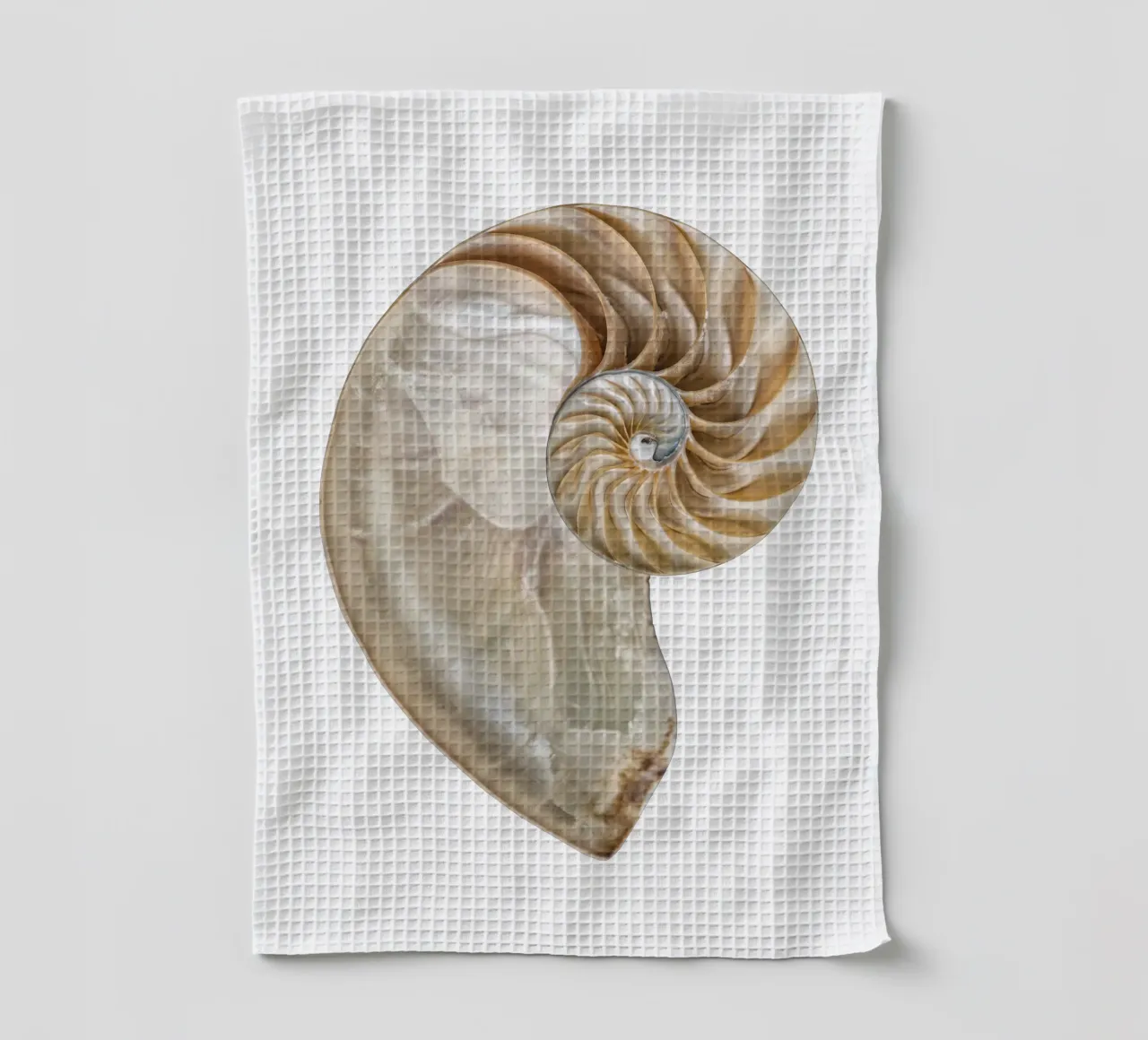 Natural Perfection: Cross-Section Nautilus Shell tea towel by Curious Collections by Marielle Leenders