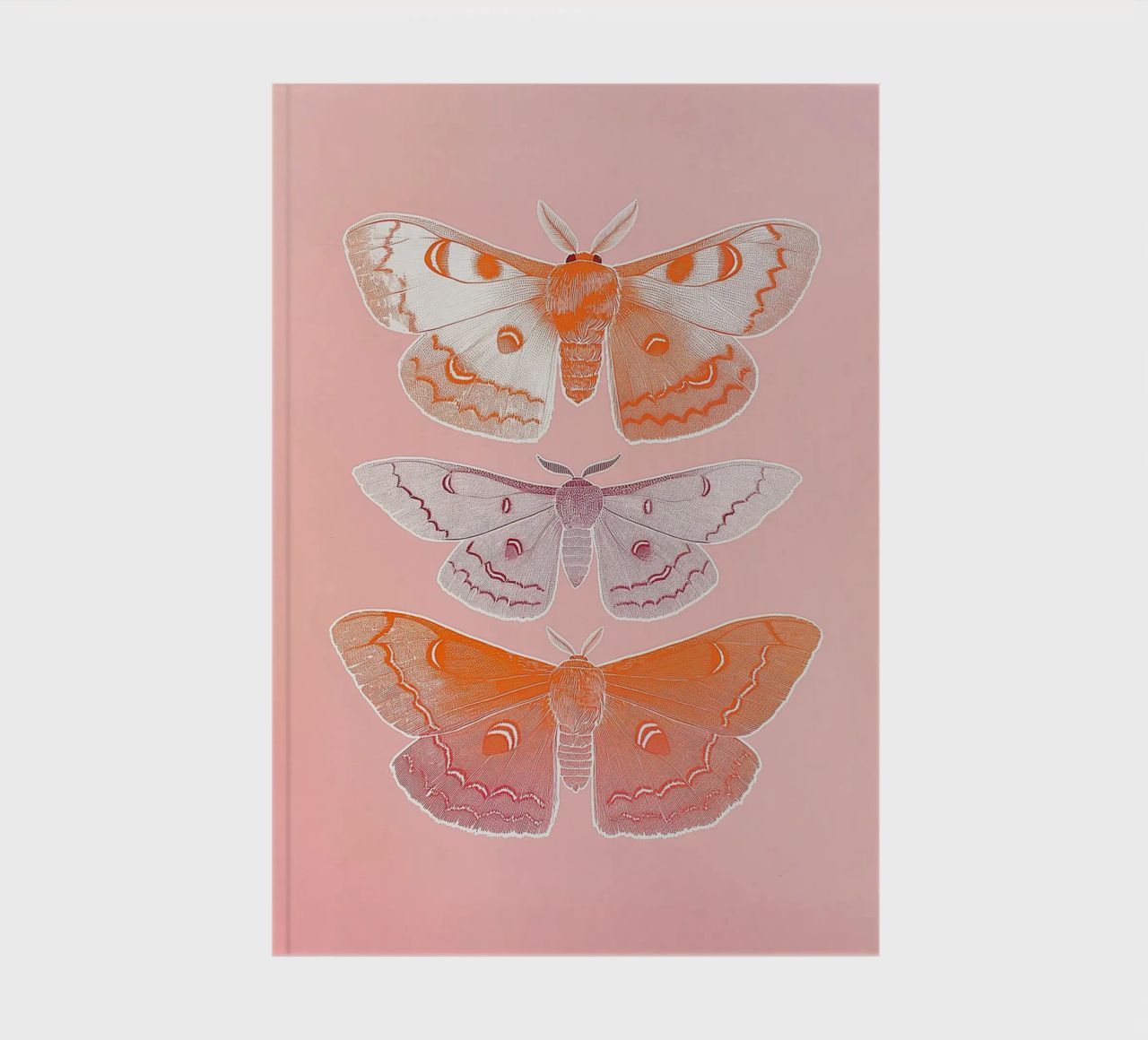 Trio de papillons roses 02 carnet de notes de Malou-Studio
