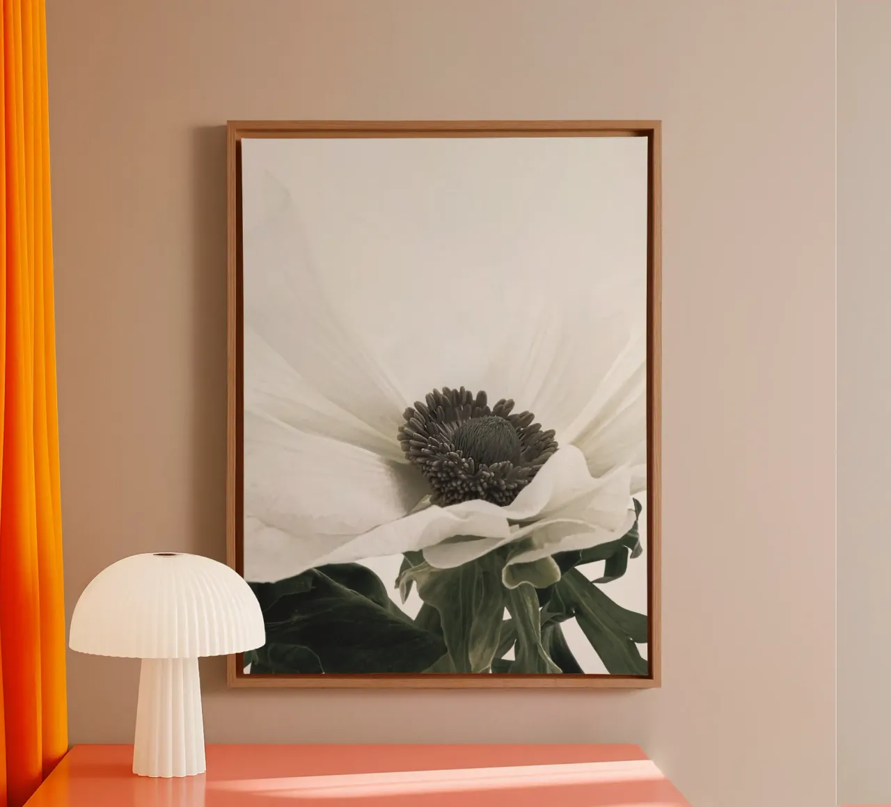Elegant anemone - timeless flower picture in soft colours canvas with Floater frame by Whole©