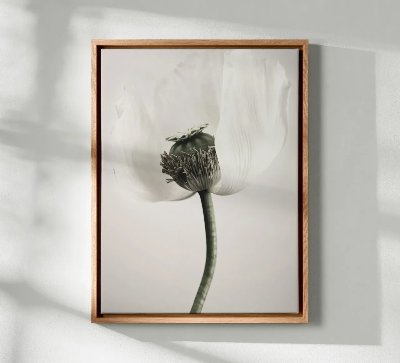 Noble poppy - Subtle floral motif in soft tones canvas with Floater frame by Whole©