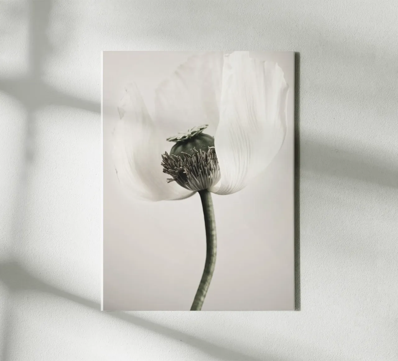 Noble poppy - Subtle floral motif in soft tones canvas with Floater frame by Whole©