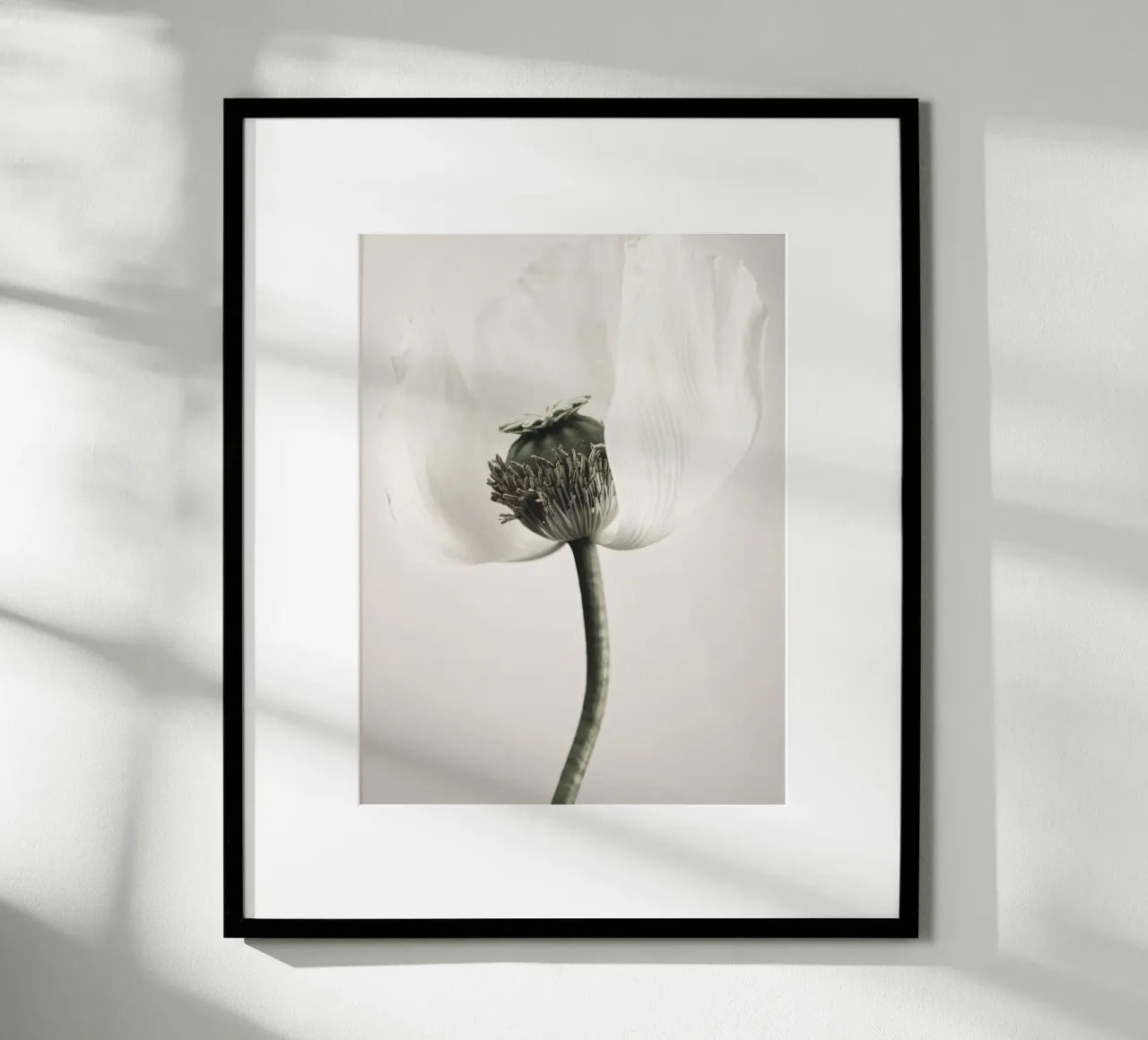 Noble poppy - Subtle floral motif in soft tones hahnemühle by Whole©