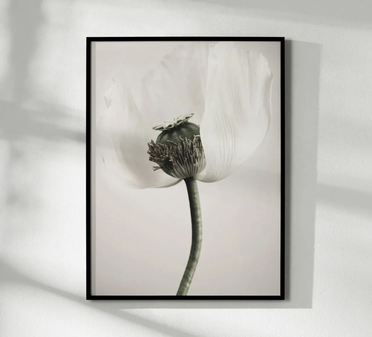 Noble poppy - Subtle floral motif in soft tones hahnemühle by Whole©
