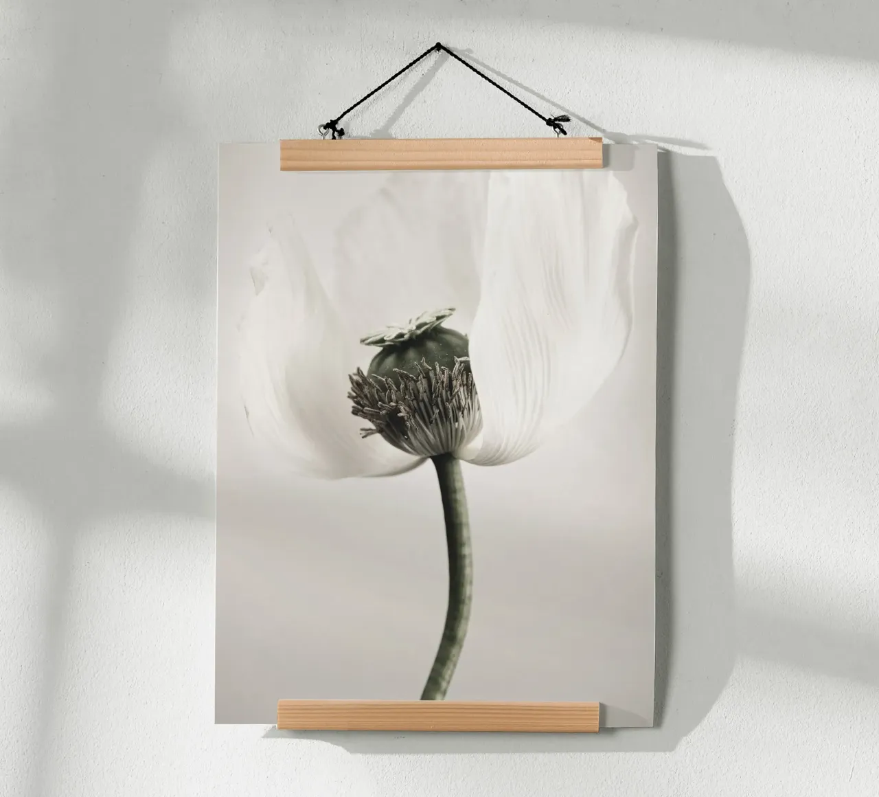 Noble poppy - Subtle floral motif in soft tones hahnemühle by Whole©