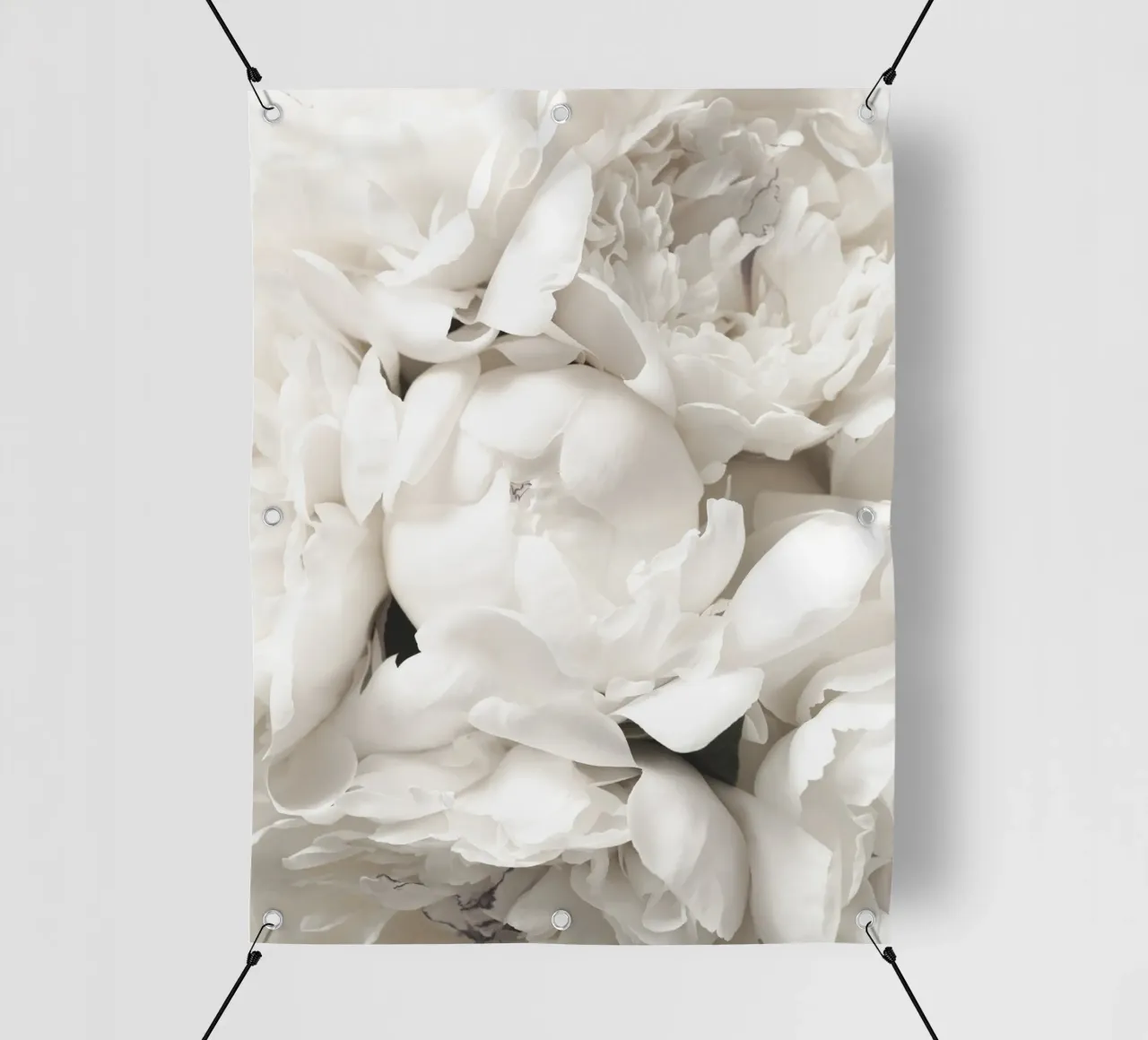 Peonia opulenta - Elegante motivo floreale in bianco telo in pvc da Whole©