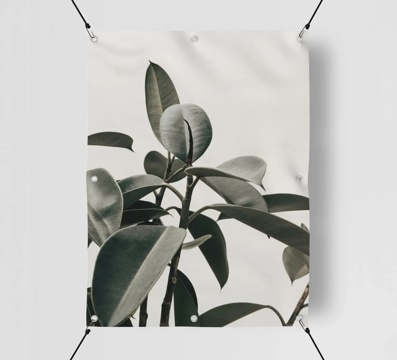 Modern rubber tree leaf - Stylish natural design pvc cover by Whole©