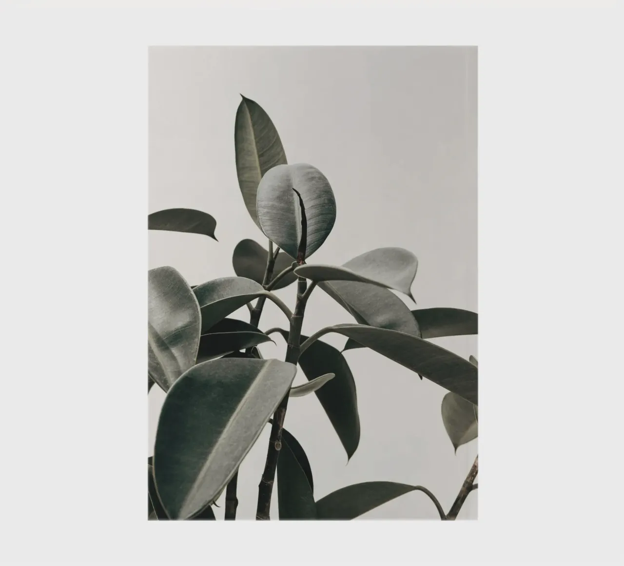 Modern rubber tree leaf - Stylish natural design notebook by Whole©