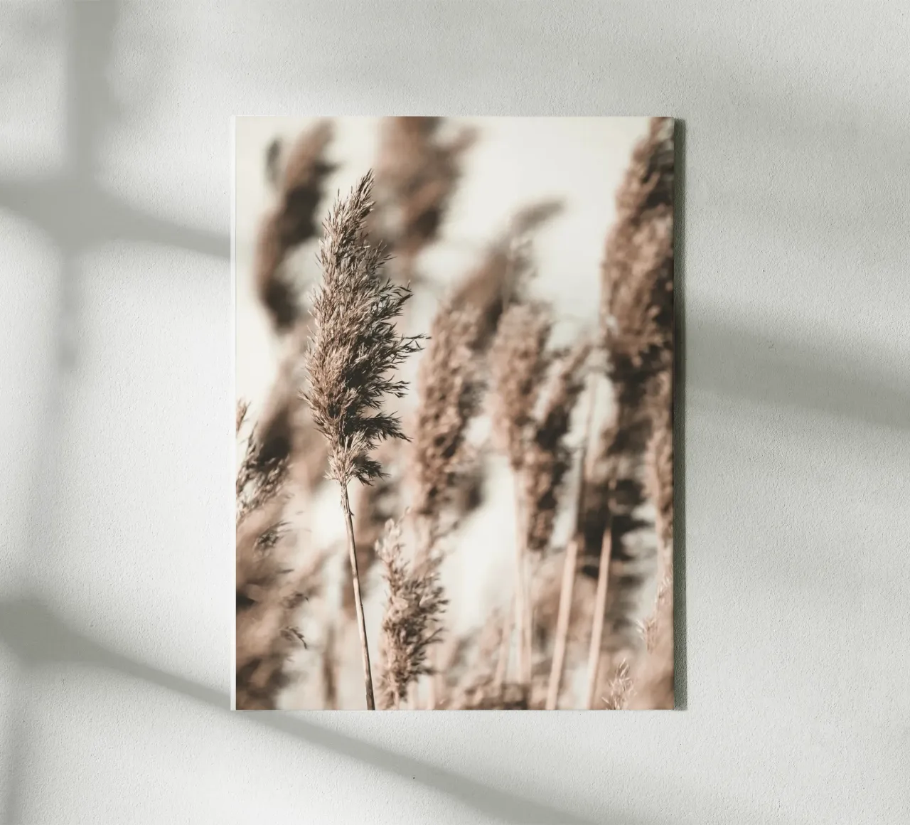 Reed Grass Nature Minimalist - Boho Wall Art Design canvas by Whole©