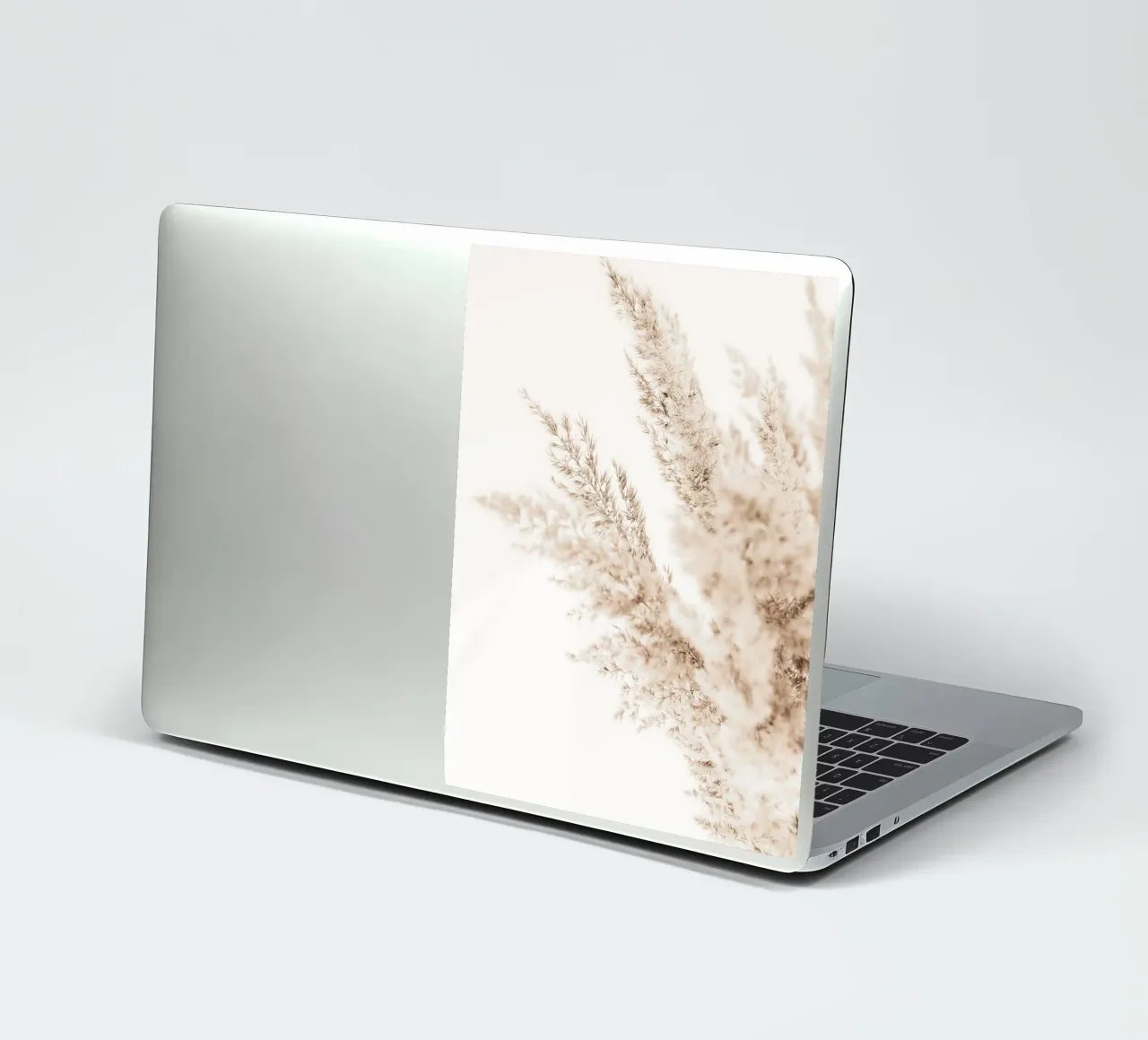 Elegant pampagras - Minimalistisch natuurlijk ontwerp sticker van Whole©