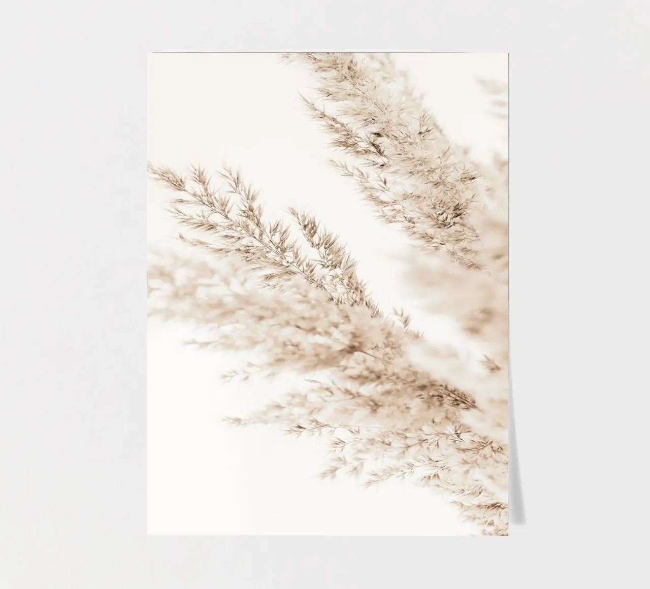 Elegant pampas grass - Minimalist natural design sticker sheet by Whole©