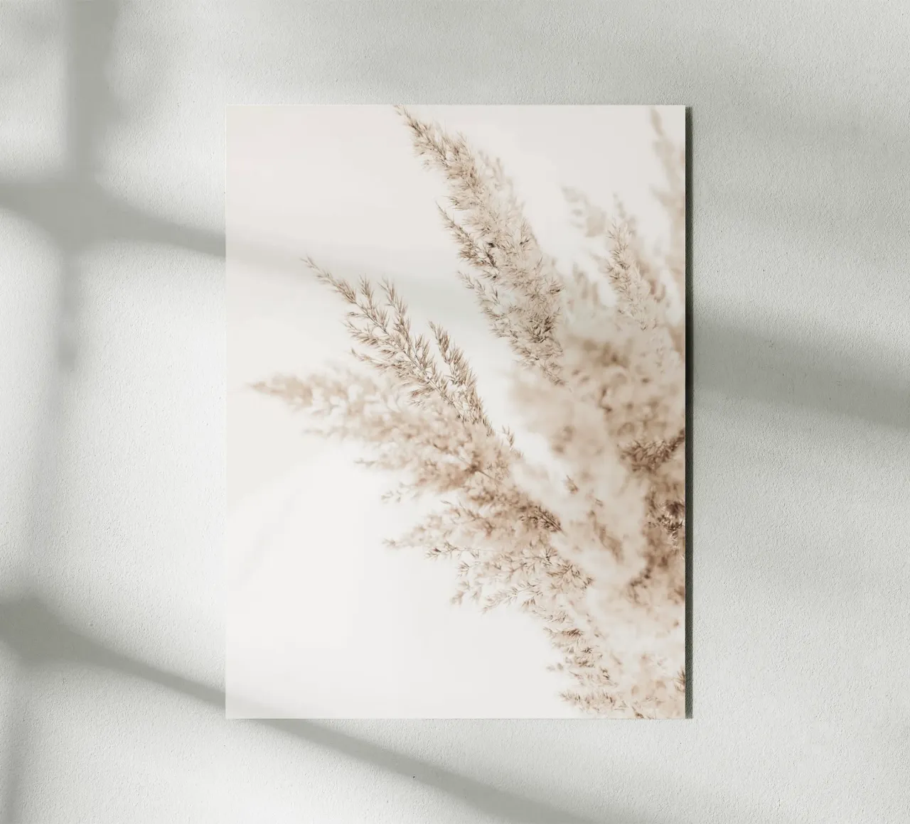Elegant pampagras - Minimalistisch natuurlijk ontwerp forex-plaat van Whole©