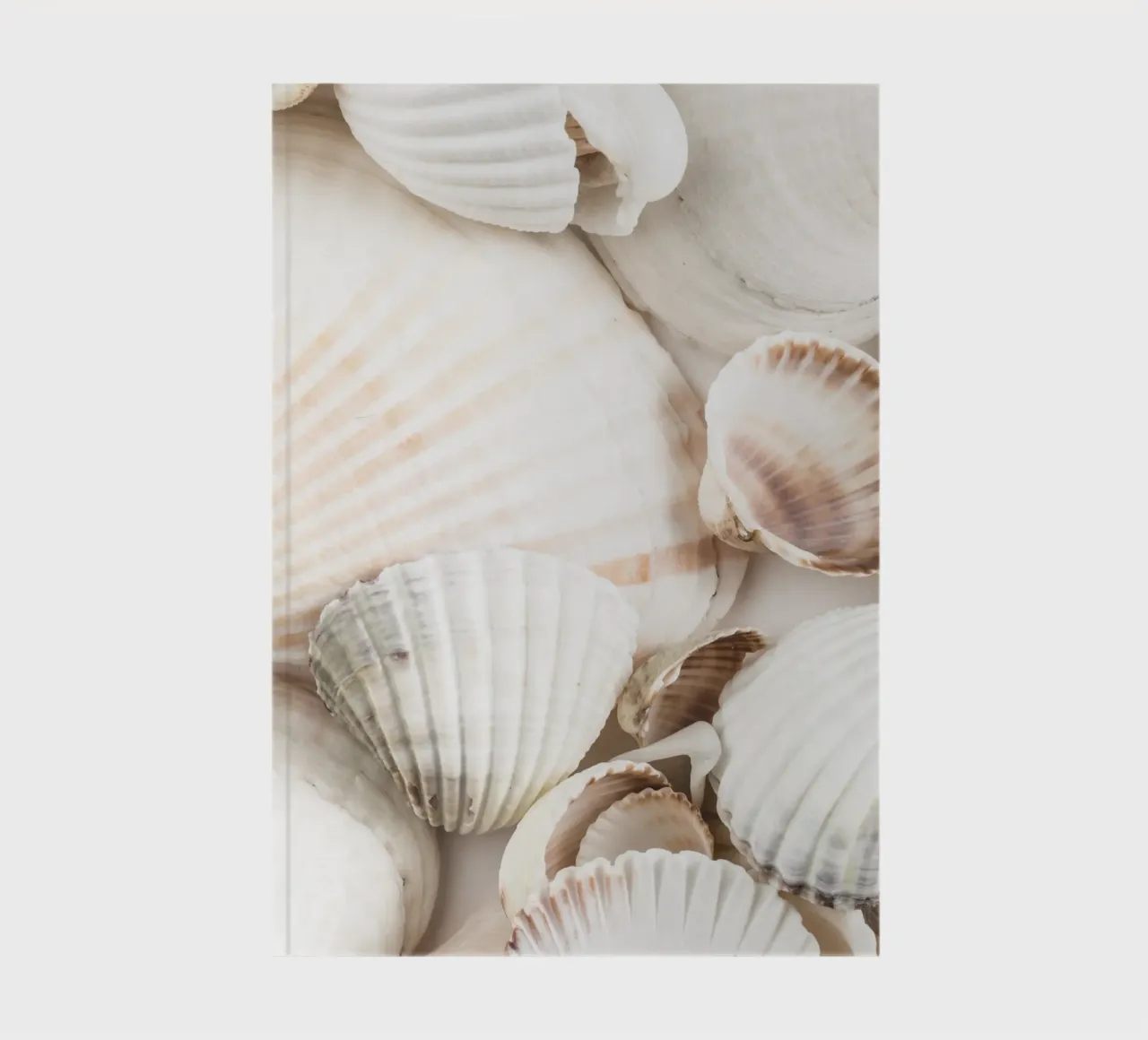Shell design - a natural maritime look for the home notebook by Whole©