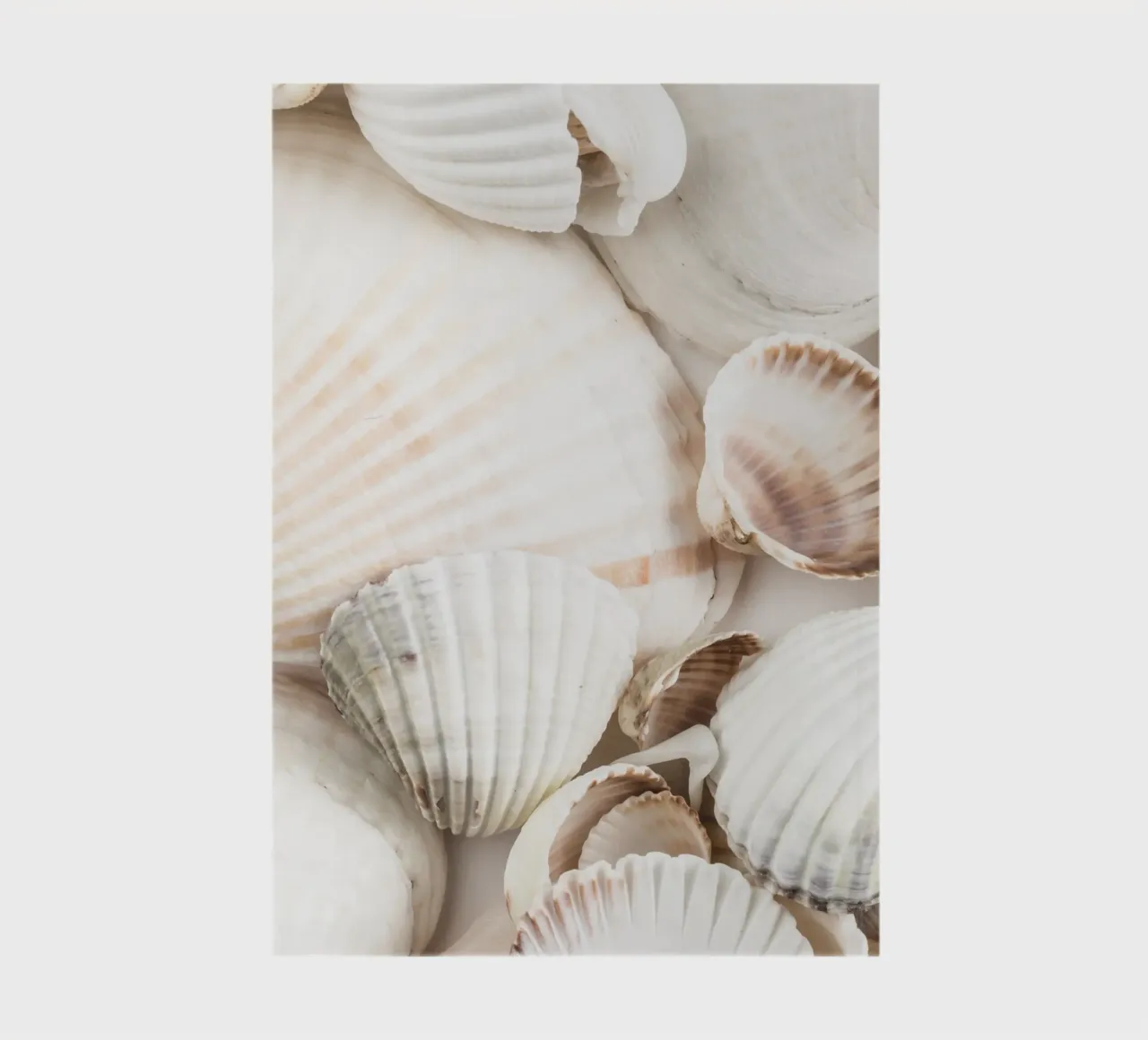 Shell design - a natural maritime look for the home notebook by Whole©