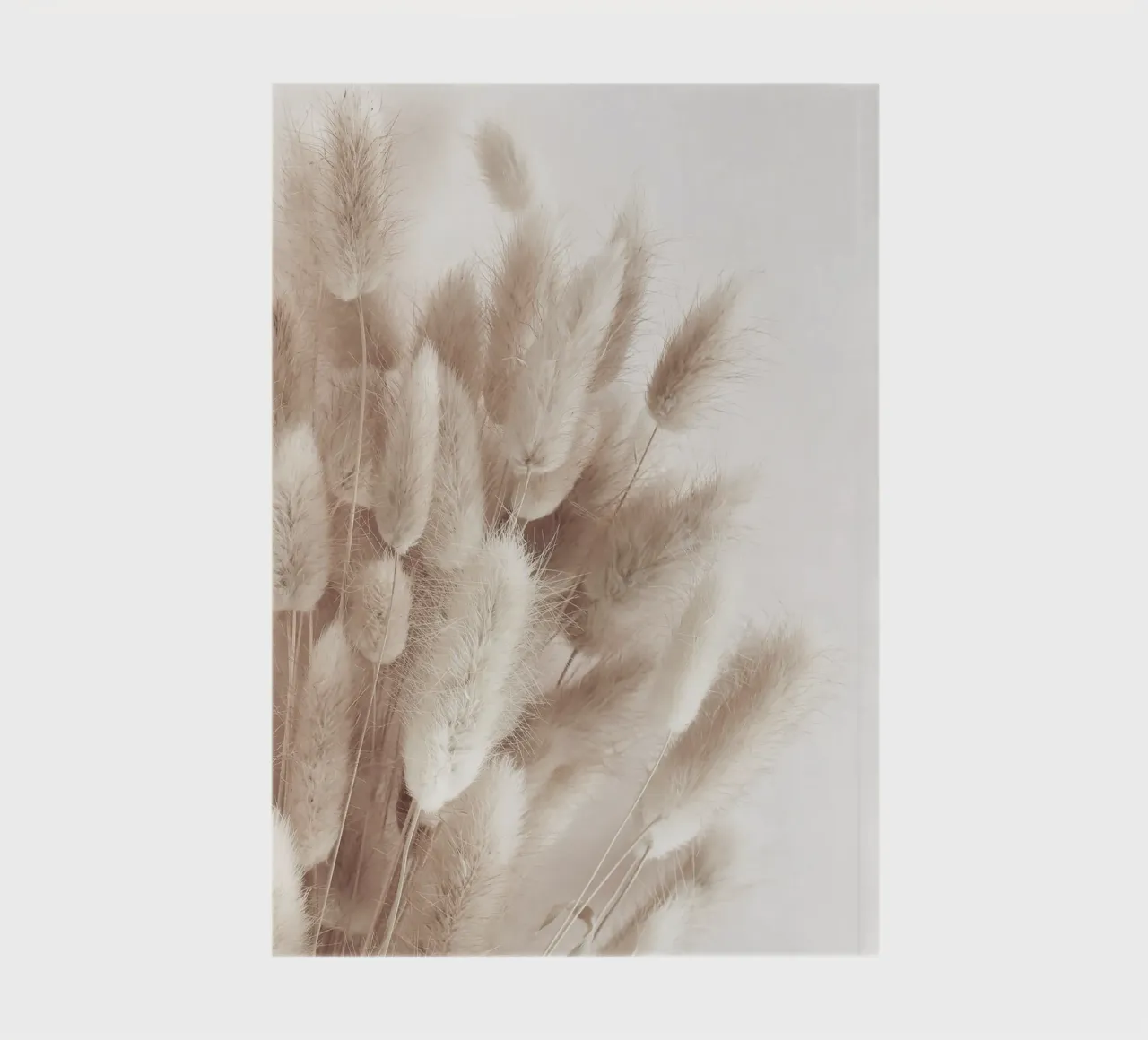 Soft pampas grass - natural elegance in boho style notebook by Whole©