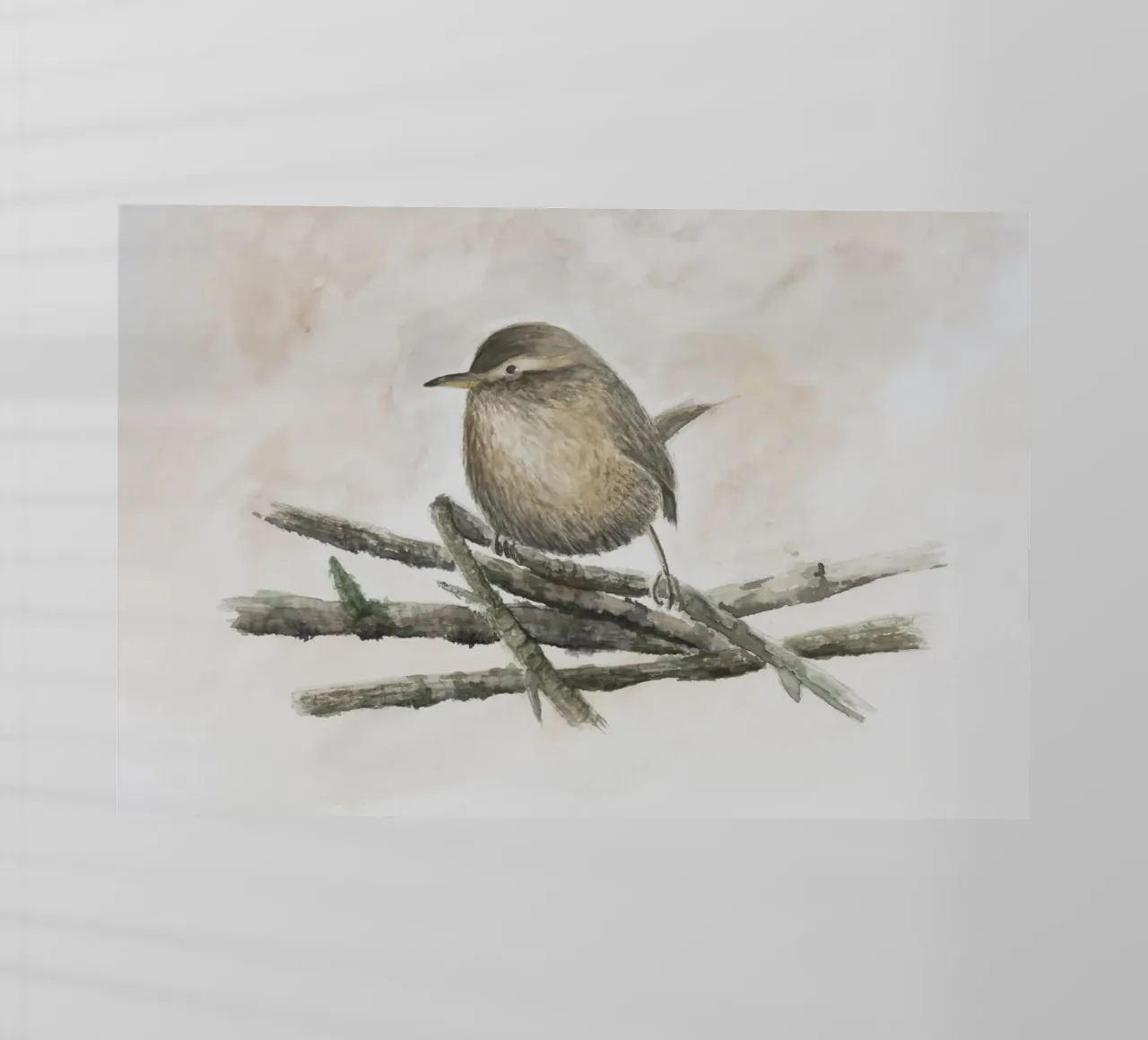 Wren - piccolo uccello con una voce squillante pellicola backlit da Barbara Buderath Illustrationen