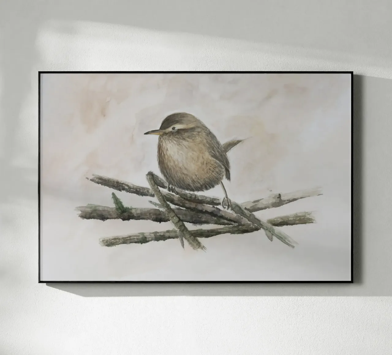 Wren - piccolo uccello con una voce squillante plexiglass da Barbara Buderath Illustrationen