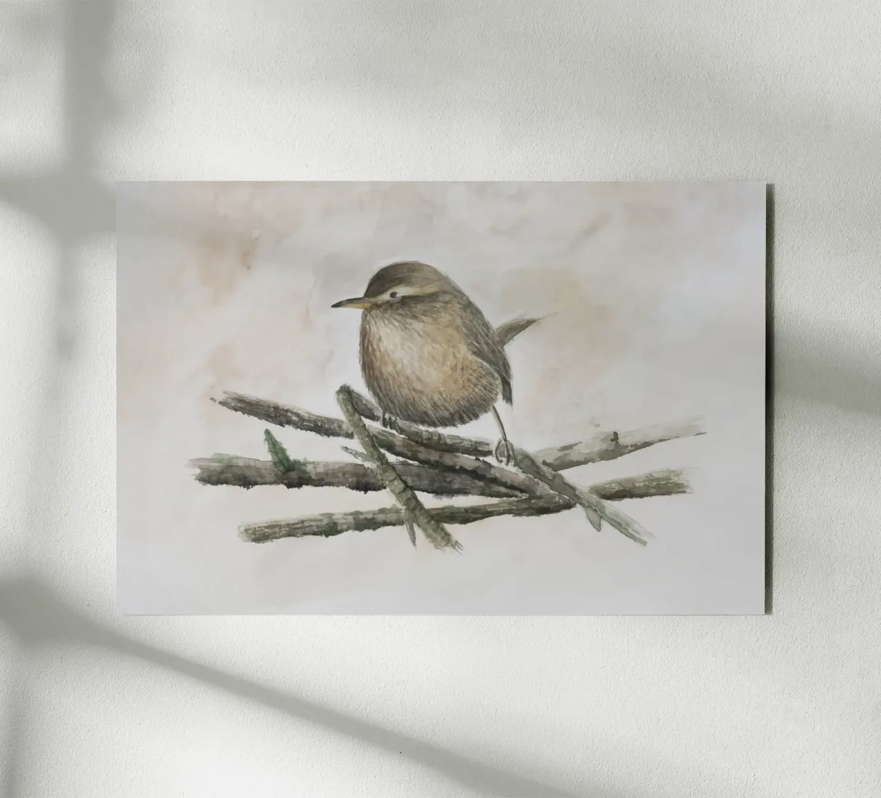 Wren - piccolo uccello con una voce squillante alluminio dibond da Barbara Buderath Illustrationen