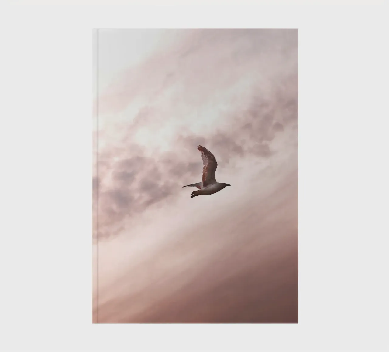 Freedom in flight - seagull in front of a rosy sky notebook by Whole©