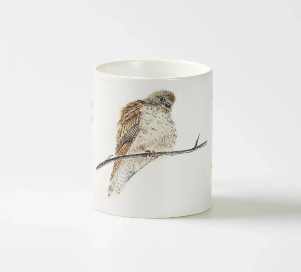 Falco spelacchiato tazza in ceramica da Barbara Buderath Illustrationen