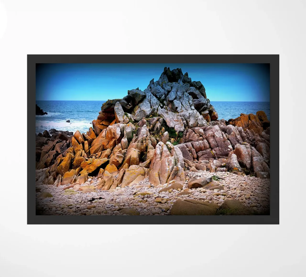 FAA95 zerbino da Thierry vobmann photography