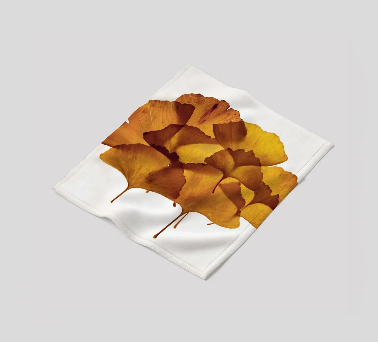 Composizione delle foglie di Ginkgo Biloba coperta in pile da Teresa André