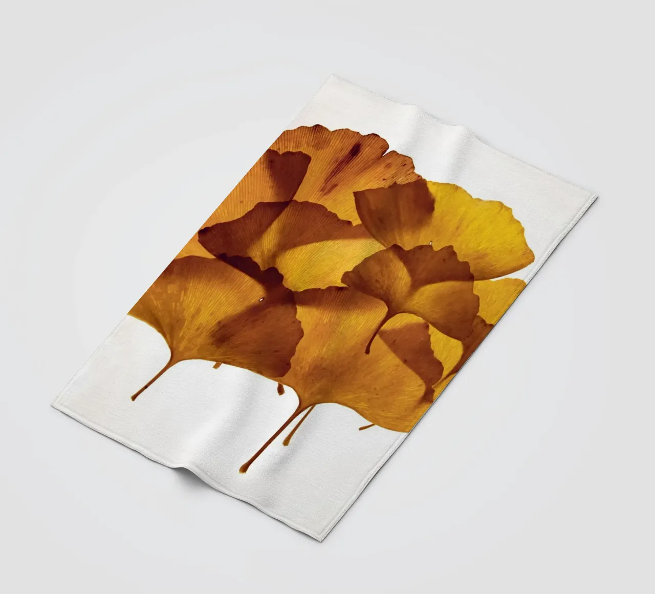 Composizione delle foglie di Ginkgo Biloba coperta in pile da Teresa André