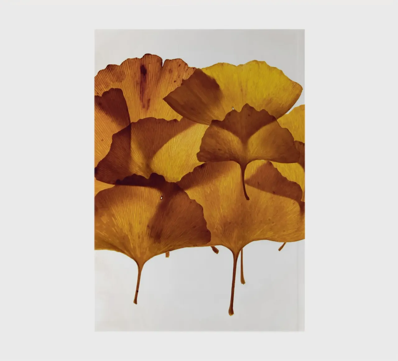 Ginkgo Biloba leaves composition notebook by Teresa André
