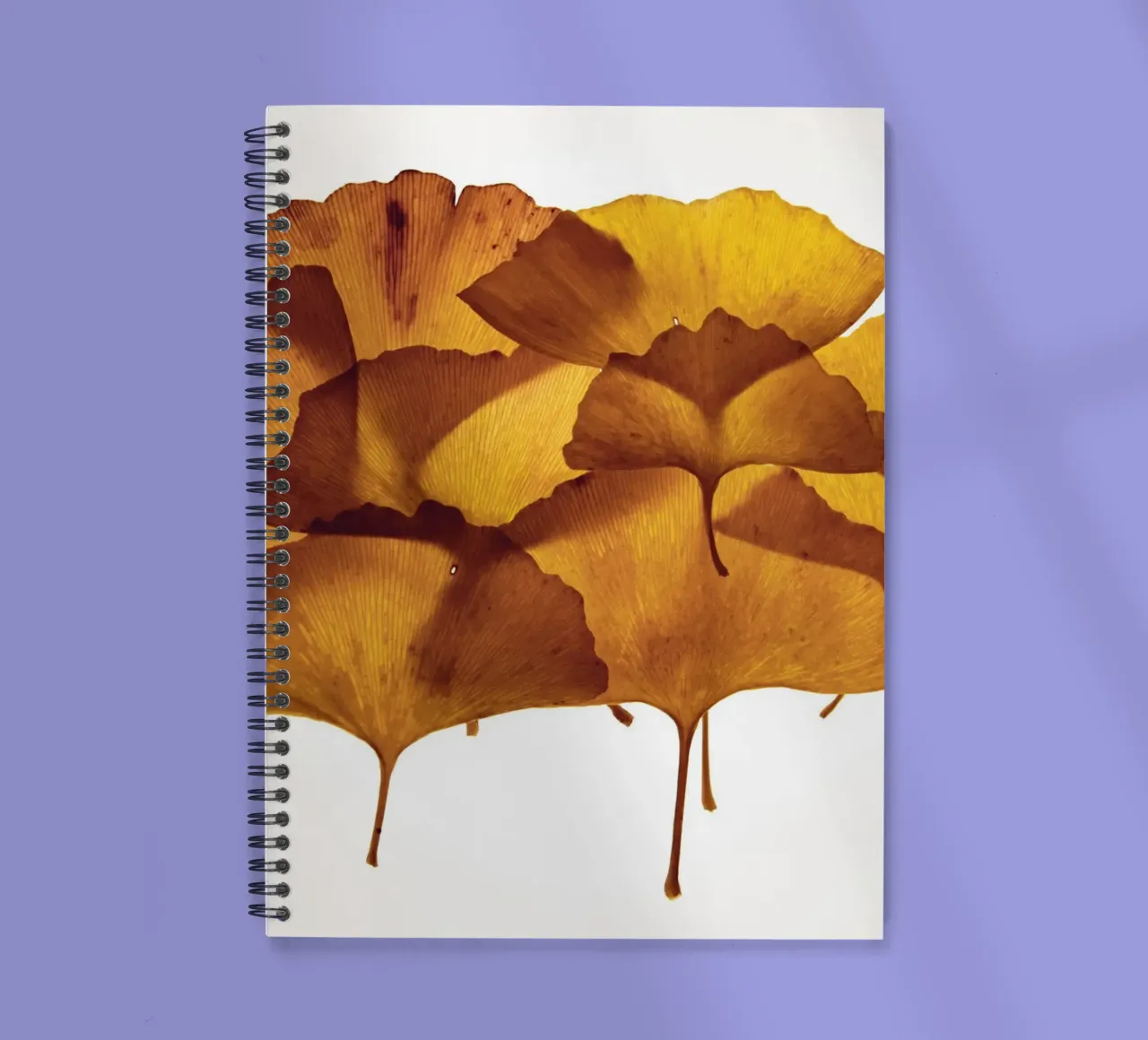 Ginkgo Biloba Blätter Zusammensetzung Ringbuch von Teresa André