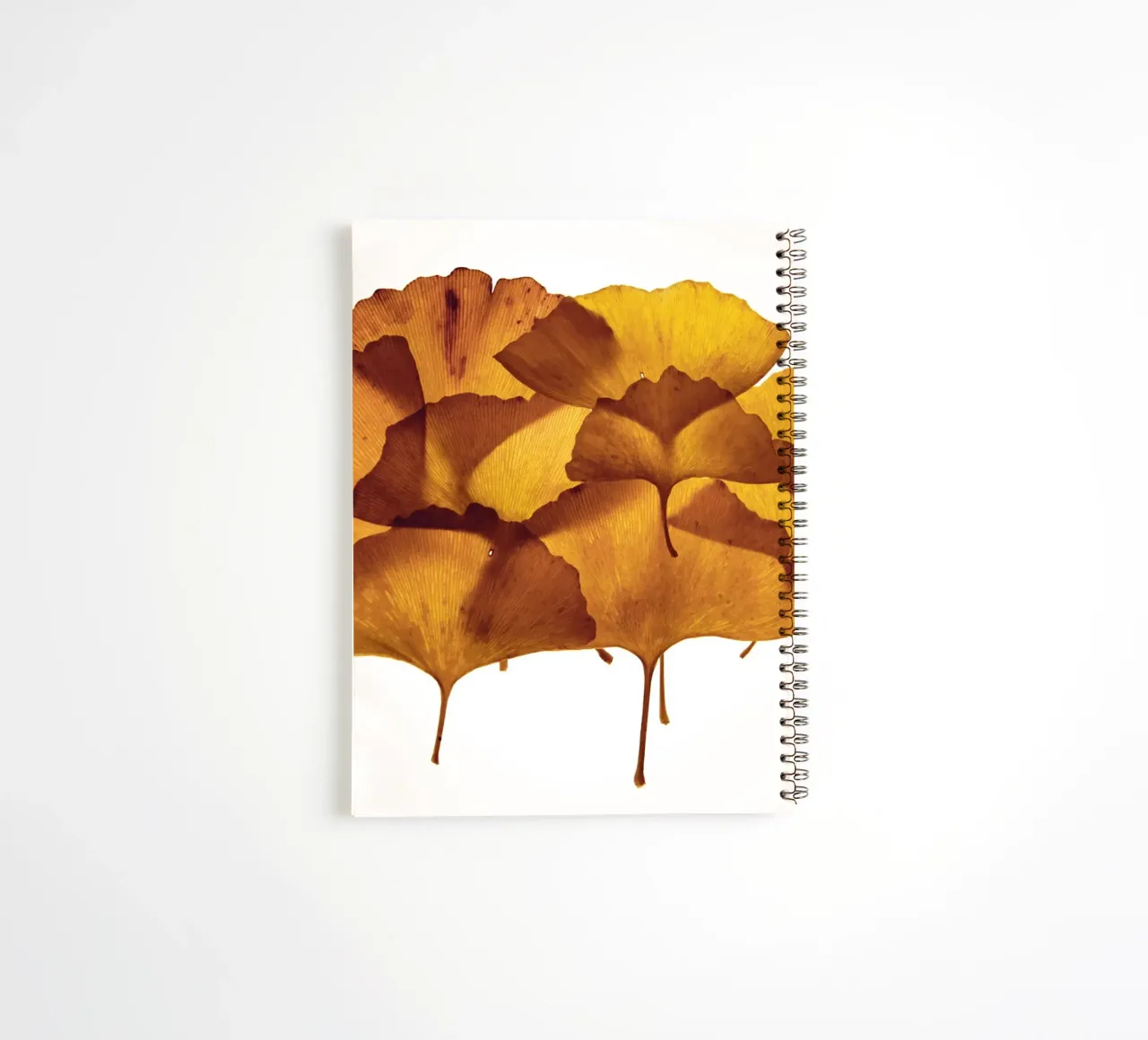 Ginkgo Biloba Blätter Zusammensetzung Ringbuch von Teresa André