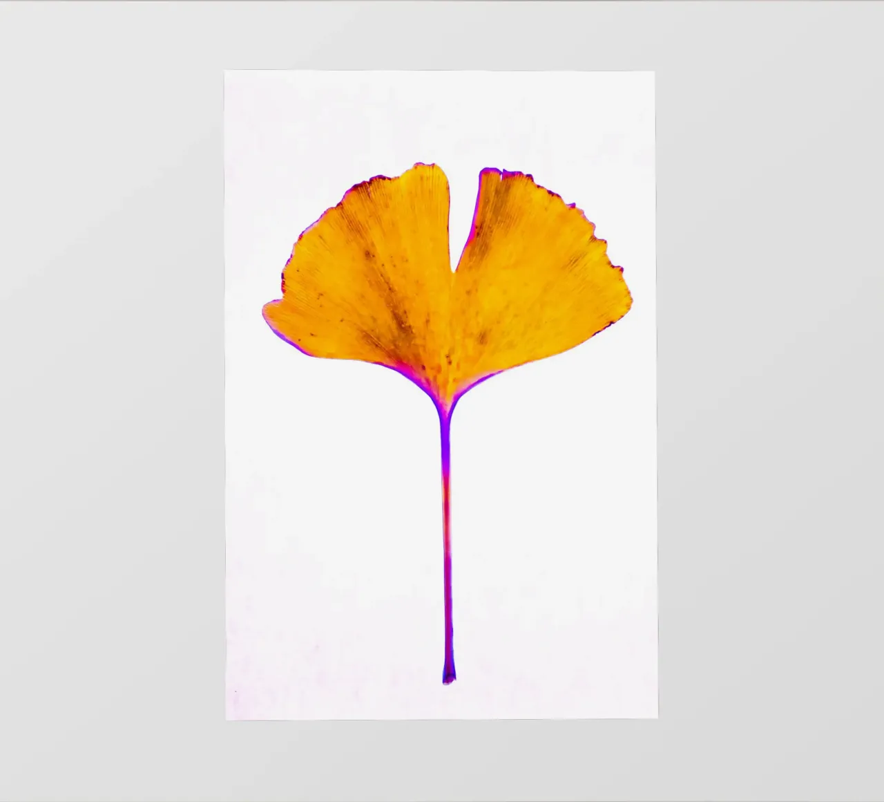 Ginkgo Biloba foglia telo in pvc da Teresa André