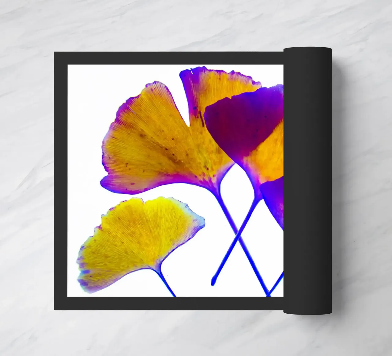 Ginkgo Biloba zerbino da Teresa André