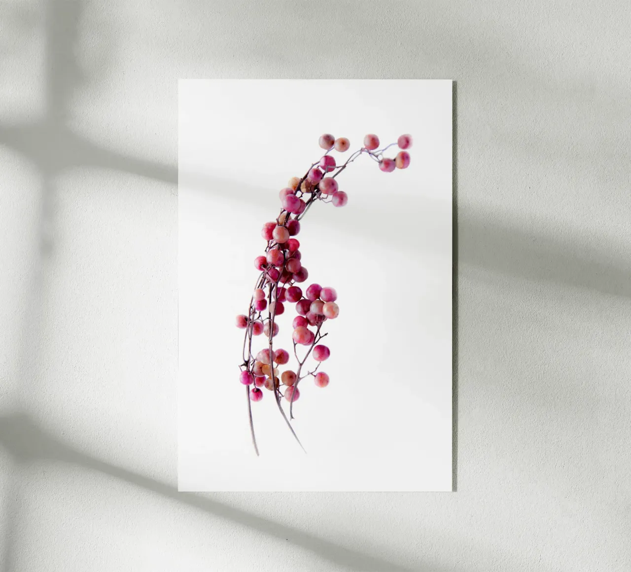 Pepe rosa plexiglass da Teresa André