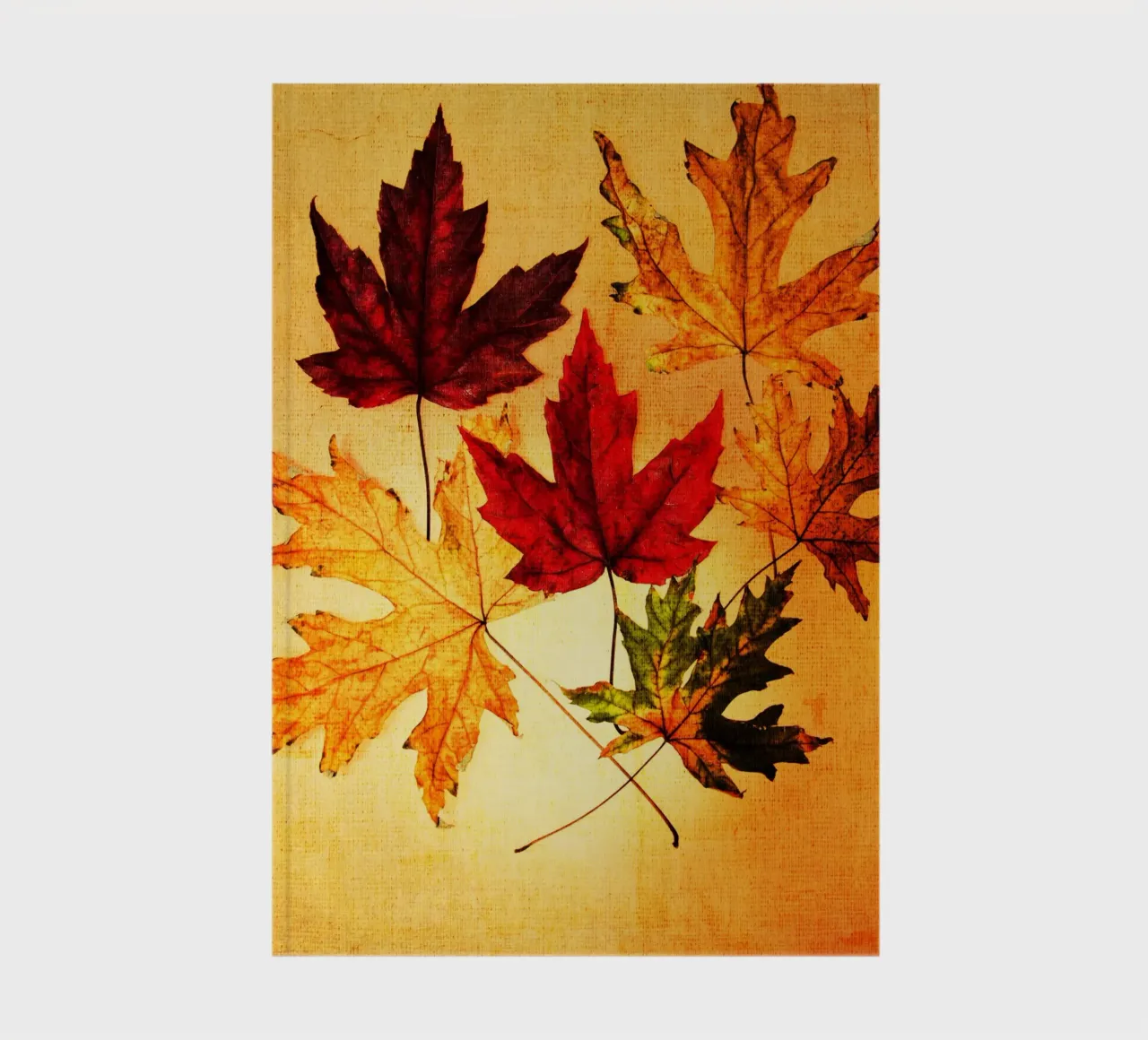 Leaves in autumn notebook by Teresa André