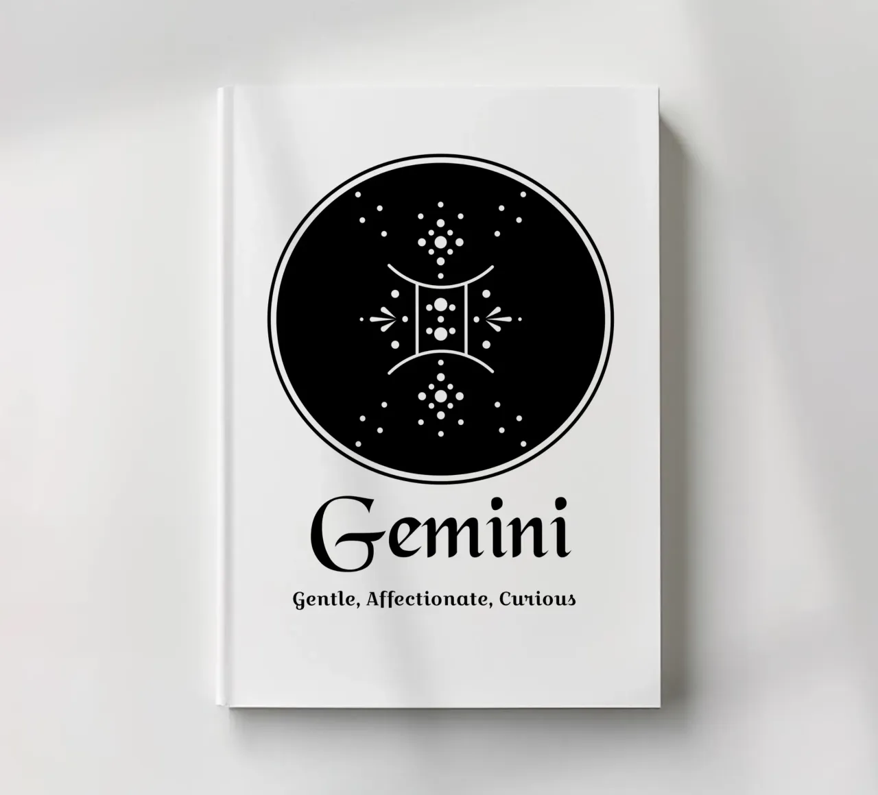 Gemini notebook by Kiroiharu