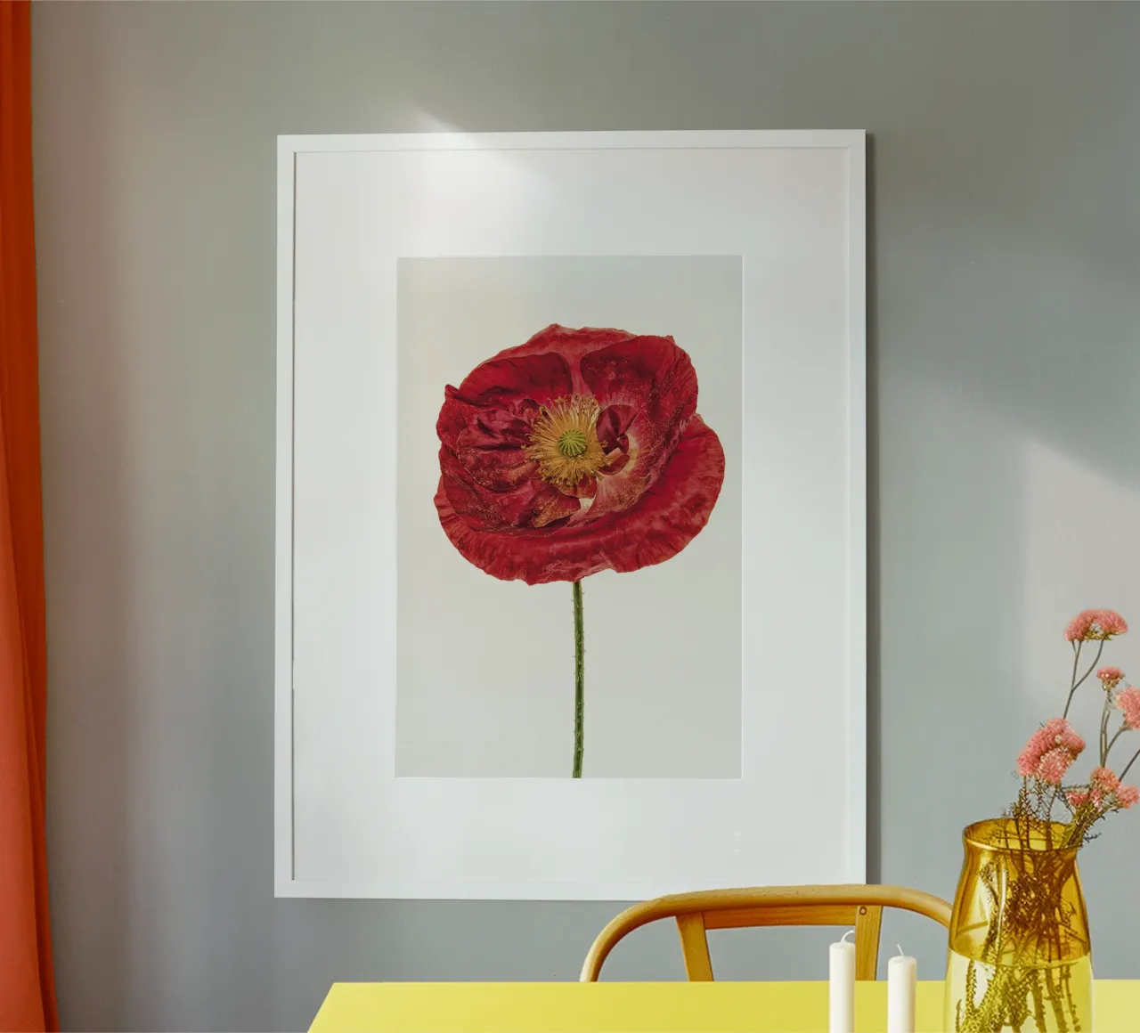 Kühne Eleganz: Dunkelroter Mohn Poster von Curious Collections by Marielle Leenders