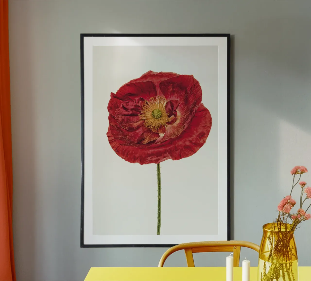 Kühne Eleganz: Dunkelroter Mohn Poster von Curious Collections by Marielle Leenders