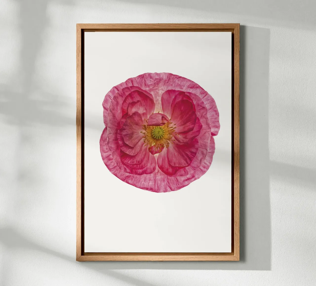 Sanfter Charme: Süßer rosa Mohn Leinwand mit Schattenfugenrahmen von Curious Collections by Marielle Leenders