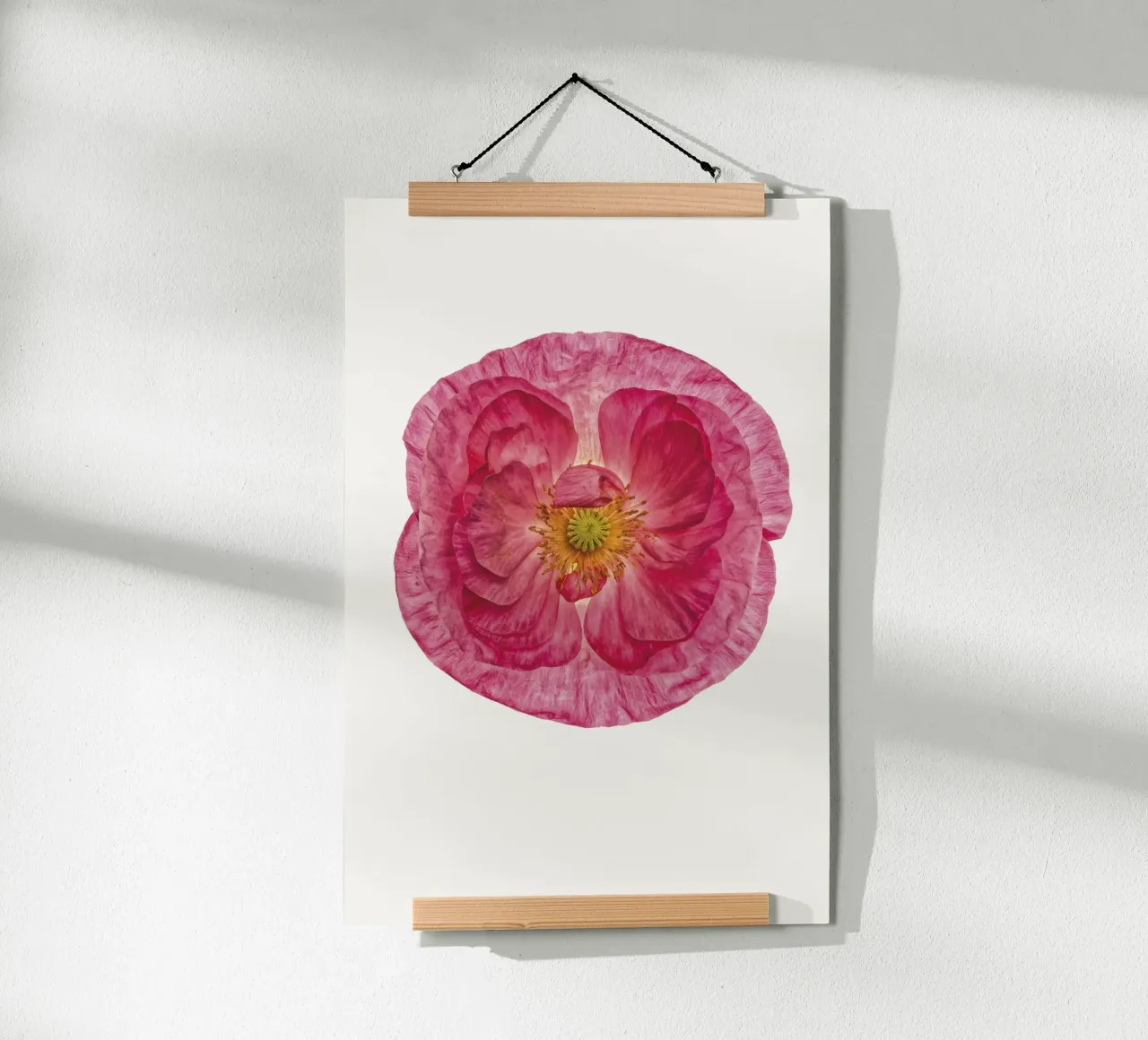 Sanfter Charme: Süßer rosa Mohn Poster von Curious Collections by Marielle Leenders